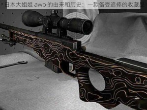 日本大姐姐 awp 的由来和历史：一款备受追捧的收藏品