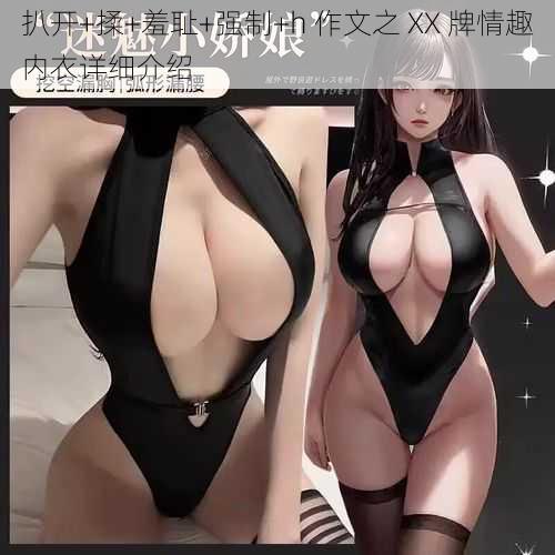 扒开+揉+羞耻+强制+h 作文之 XX 牌情趣内衣详细介绍