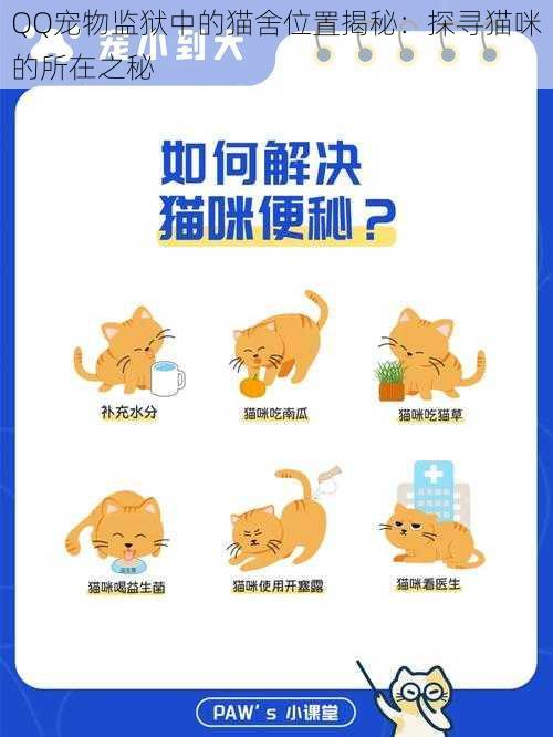 QQ宠物监狱中的猫舍位置揭秘：探寻猫咪的所在之秘