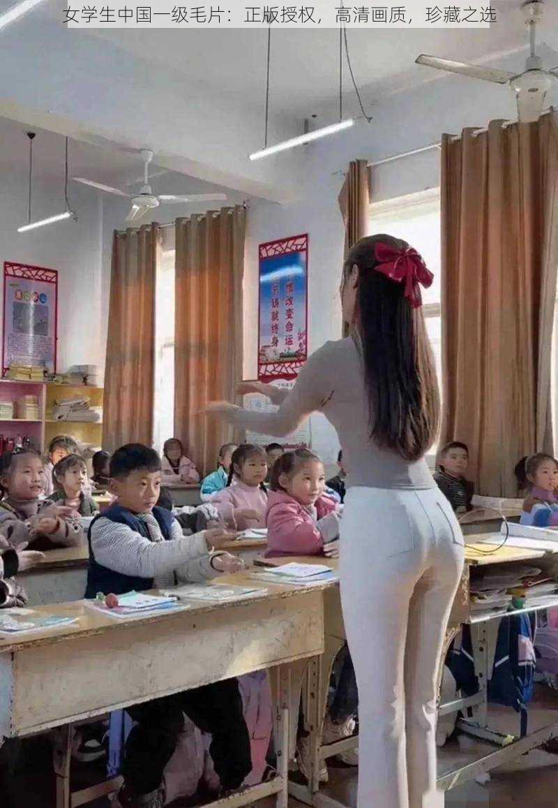 女学生中国一级毛片：正版授权，高清画质，珍藏之选